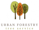 Local Tree Service in Denver, CO | Urban Forestry